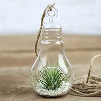 Glass Bulb Shape Hanging Planter, T-Light Candle Holder, Bulb Shaped Terrarium For Artificial Plants or Indoor Gardening - Pack of 1 (1 Piece 9 Inch Terrarium)-thumb3