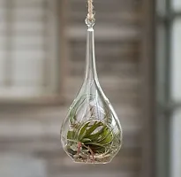 Tear Drop Shape Hanging Planter, Rain Drop Hanging Terrarium For Indoor Gardening (Pack of 1)-thumb3