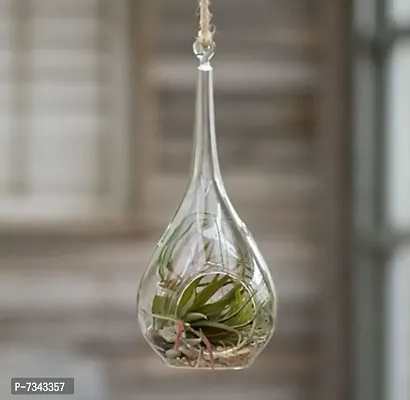 Tear Drop Shape Hanging Planter, Rain Drop Hanging Terrarium For Indoor Gardening (Pack of 1)-thumb4