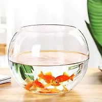 5 Litre Round Fish Bowl, Glass Terrarium Vase For Centre Table, Home and Office Decoration - Set of 1, Transparent-thumb2