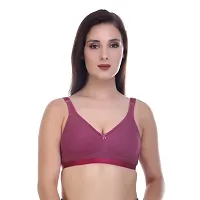 Stylish Multicoloured Cotton Solid Bras For Women Pack of 3-thumb3