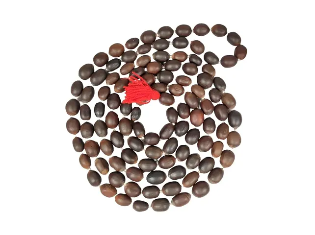 Traditional Rudraksha Mala For Men