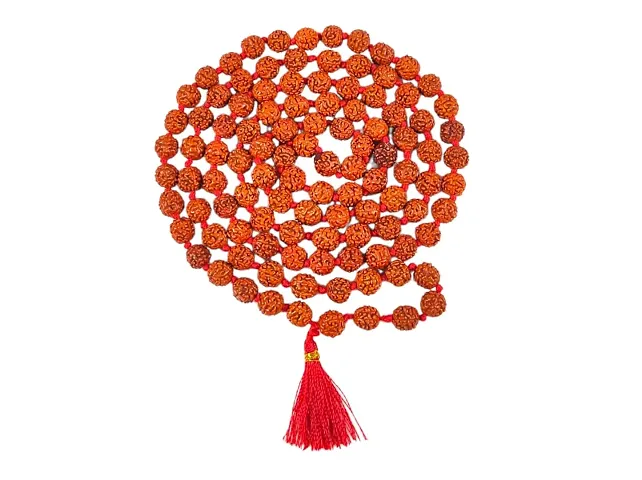 Rudraksha Mala for Jaap Puja with Authenticity Card