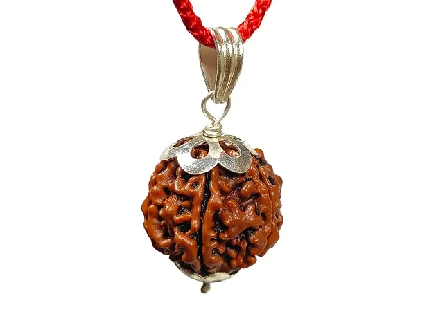 Mukhi Faced Nepali Rudraksha with 925 Pendant Lab Certified Seven Mukhi Rudraksha Pendant for Men Women