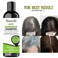 Professional Anti Dandruff Shampoo Enrich With Ginger, Lemon  Curry Leaf - 100ml-thumb2