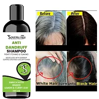 Professional Anti Dandruff Shampoo Enrich With Ginger, Lemon  Curry Leaf - 100ml-thumb2