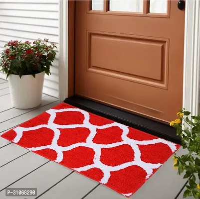 Anti Skid Waterproof Microfiber Door Mat-thumb0