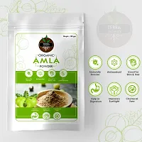 Terra Organics Certified Organic Natural Amla Indian Gooseberry Fruit Powder for Hair Growth, Skin, Drinking and Eating ndash; 100 gm-thumb2