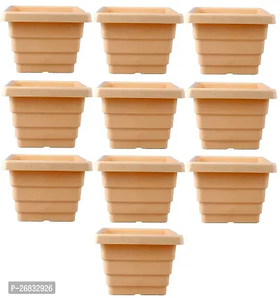 Square Flower Pots for Home  Decoration Plant Container Set (Pack of 10 Plastic)-4inch