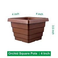Square Flower Pots for Home  Decoration Plant Container Set (Pack of 10 Plastic)-4inch-thumb1