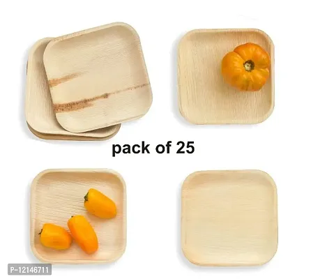 GELLON areca palm leaf 6 inch square shallow plate disposable plates for party for serving light food (Pack of 25)