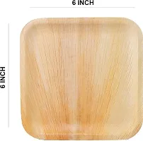 GELLON areca palm leaf 6 inch square shallow plate disposable plates for party for serving light food (Pack of 25)-thumb1