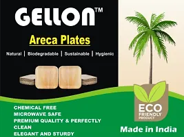 GELLON areca palm leaf 6 inch square shallow plate disposable plates for party for serving light food (Pack of 25)-thumb4