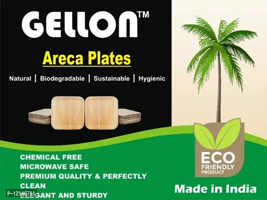 GELLON areca palm leaf 6 inch square shallow plate disposable plates for party for serving light food (Pack of 25)-thumb5