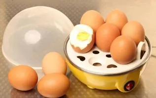 Multi-Function Electric sinle Layer Egg Boiler CookerSteamer Egg Cooker and Poacher-thumb3