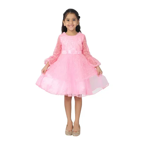 Girl's Net Full Sleeve Party Wear Embroidered Frock Dress