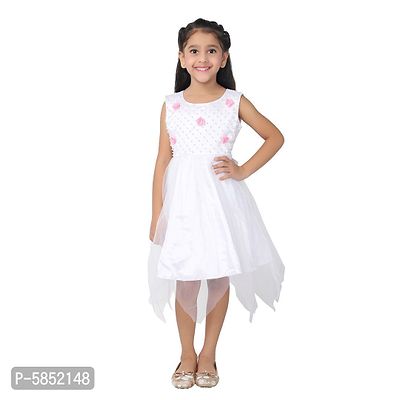 Girl's Net Sleeveless White Party Wear Embroidered Frock Dress-thumb0