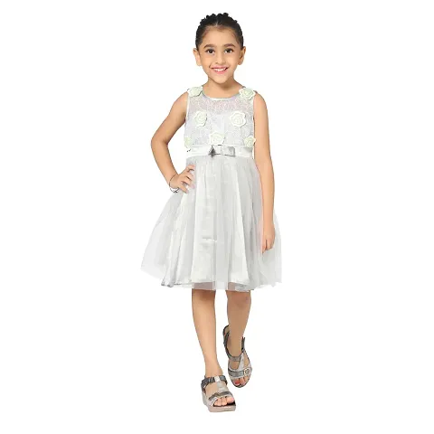 Girl's Party 3/4 Sleeves Knee Length Net Frock Dress