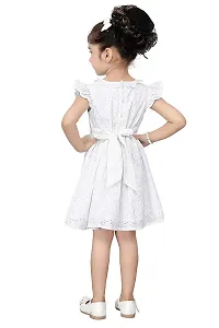 Stylish Cotton Blend Embroidered Fit And Flare Dress For Girls-thumb3