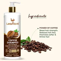 Leaflore Coffee shampoo(Combo of 2) | Proffessional Hair strengthening Shampoo| 72 HRS Scalp Detox | 6-in-1 Formula | Paraben-free | Shampoo for Men  Women,Total 500ml-thumb2