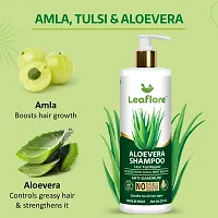 Leaflore Aloevera shampoo (Combo of 2)| Proffessional Anti-Hairfall Shampoo| 72 HRS Scalp Detox | 6-in-1 Formula | Paraben-free | Shampoo for Men  Women, Total 500ml-thumb2