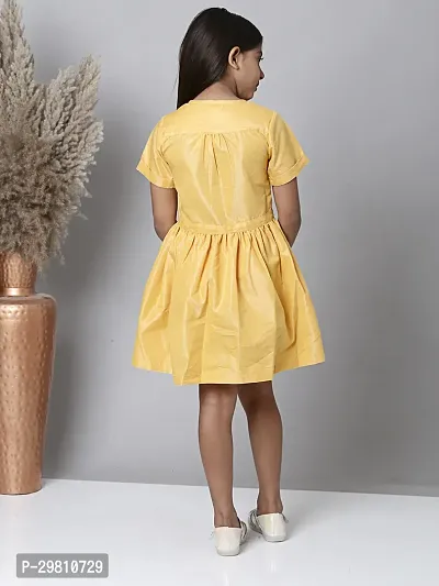 Trendy Polyester A-line Dress For Girl-thumb2