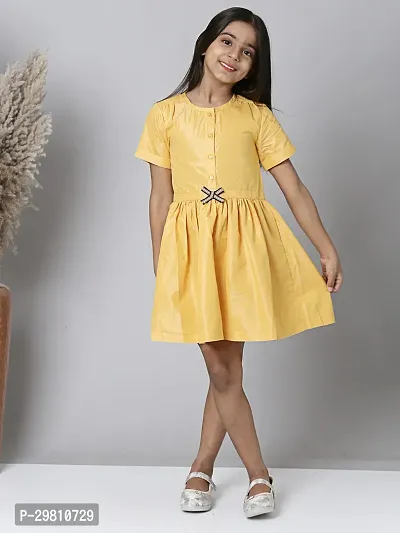 Trendy Polyester A-line Dress For Girl-thumb5