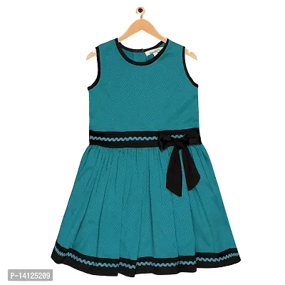 ShopperTree Turk and Black Dress