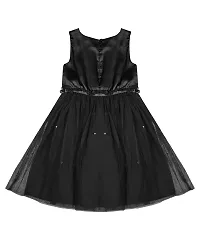 ShopperTree Black NET Dress for Girl's-thumb1