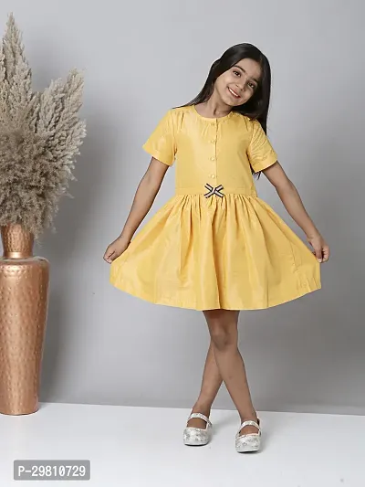 Trendy Polyester A-line Dress For Girl-thumb0