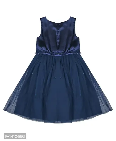 ShopperTree Blue NET Dress for Girl's-thumb2