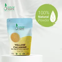 Naturx Organic Yellow Calamine (Scar Specialis) Ingridients Zinc Oxide, Fenugreek, Allium Cepa, Multani Mitti  Turmeric Powder, 200 Gram (7 oz)-thumb2