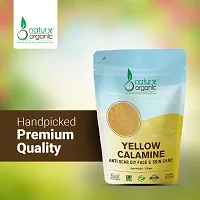 Naturx Organic Yellow Calamine (Scar Specialis) Ingridients Zinc Oxide, Fenugreek, Allium Cepa, Multani Mitti  Turmeric Powder, 200 Gram (7 oz)-thumb3