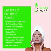 Naturx Organic Calcium Bentonite Powder (Indian Healing Clay), for Face and Skin, 200 Gram (7 oz)-thumb4