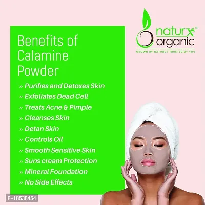 Naturx Organic Calcium Bentonite Powder (Indian Healing Clay), for Face and Skin, 200 Gram (7 oz)-thumb5