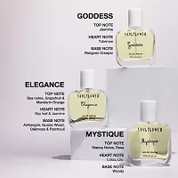 Luxury Perfume Gift Set for Women-thumb4