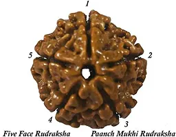 Natural Rudraksha Japa Mala Wood Chain Wood Chain-thumb1