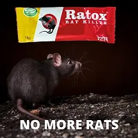 Rat Kill Paste | Ready to Use Rat Killer Gel for Home and Outdoors |-thumb2