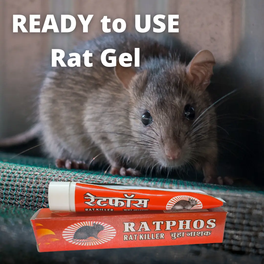 Rat killer paste poisoining by Dr kandy | PPT