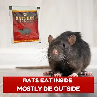 Rat Killer Powder Zinc Phosphide Powerful Rat Paste| Rodenticide for Home-thumb1