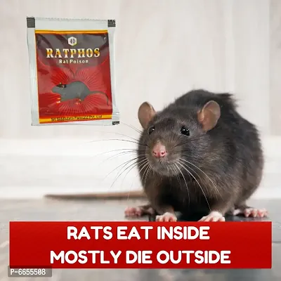 Rat Killer Powder Zinc Phosphide Powerful Rat Paste| Rodenticide for Home-thumb2