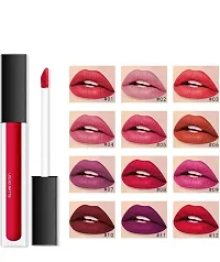 Long Lasting Matte Finish Lipstick, Pack of 12-thumb2