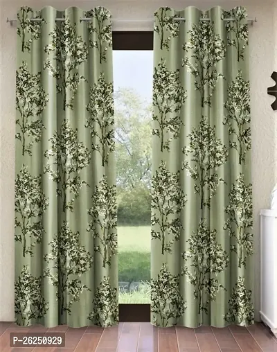 Beautiful Windows Curtains, Pack Of 2