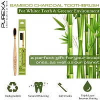 PUREXA Heathy Gums Toothpaste (100g X 3) with extracts of Akhrot Chaal, Almond, Meswak, Babool  Vajradanti, Protects against Gum Inflammation  Bleeding Gums, With 3 Bamboo Charcoal Toothbrush-thumb3