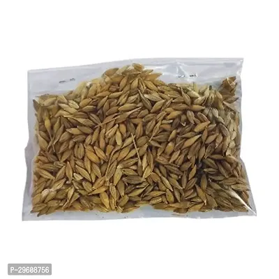 Jau - 100gm | Pujan Jau | Puja Jau | Puja Barley | Pujan Barley Pack of 2 [Each Pack 100g]