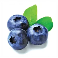 Blueberry fruit plant ( pack of 1)-thumb1