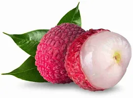 Litchi fruit plant ( pack of 1)-thumb2