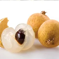 Longan fruit plant ( pack of 1)-thumb1