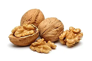 Nuts plant ( pack of 1)-thumb1