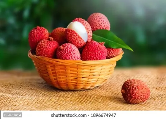 Litchi fruit plant ( pack of 1)-thumb3